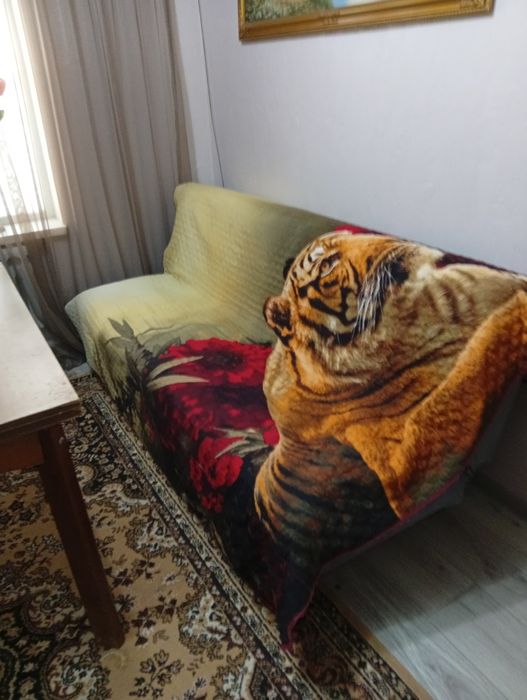 Срочно продам диван книжка