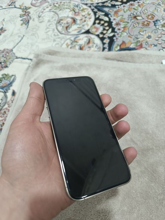 iPhone X 16 Pro korpusda