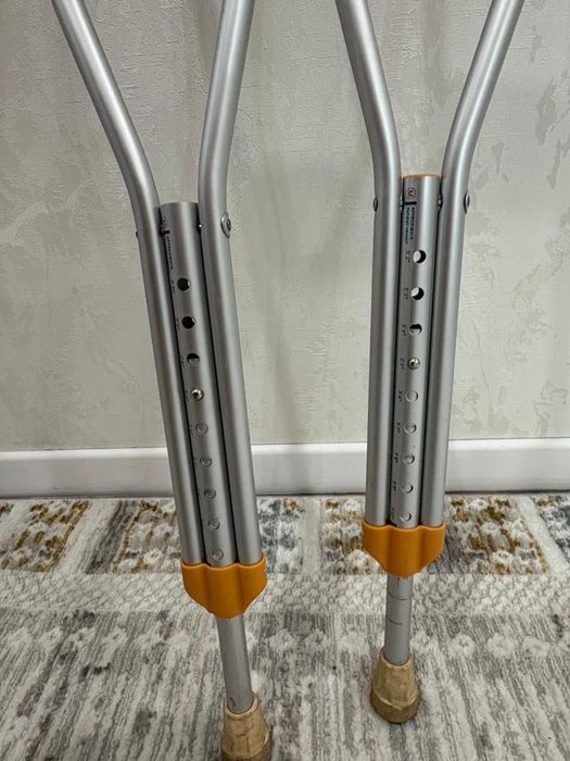 Трость (аверсус)