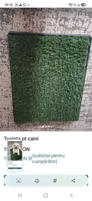 Vand toaleta interioara pt caini