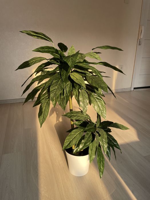 Искусственное Дерево Манго