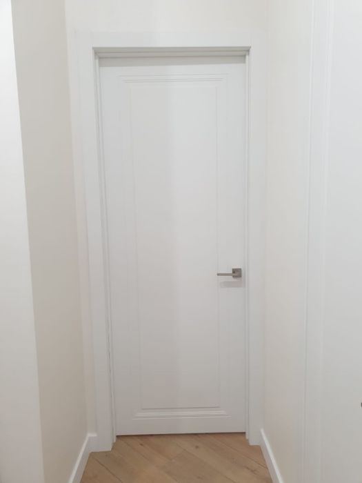 Двери 220, 55000