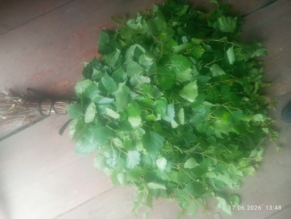 Продам банные веники берёза