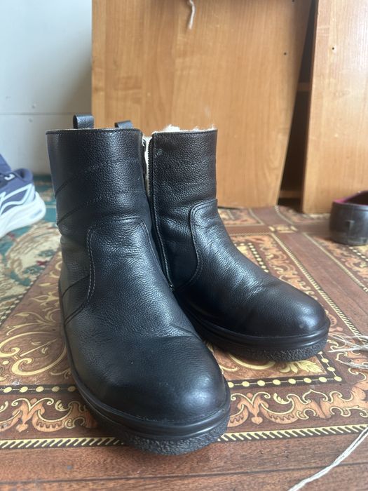 Сапок Salamander