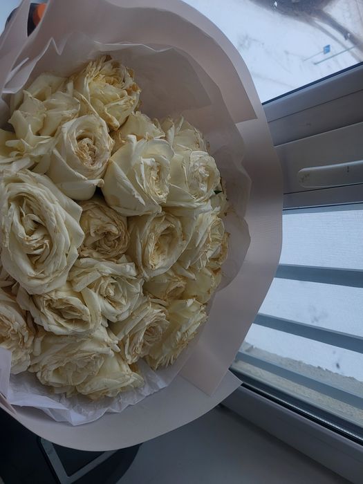 Цветы . Гул. Продам