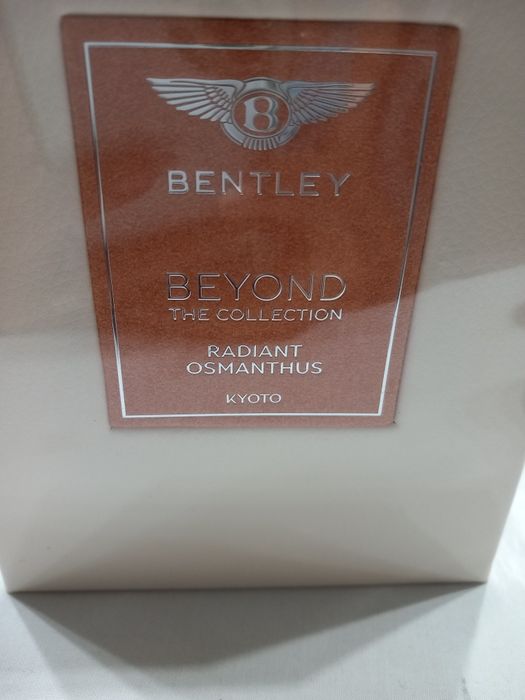 Bentley Beyond the Collection,100 ml.