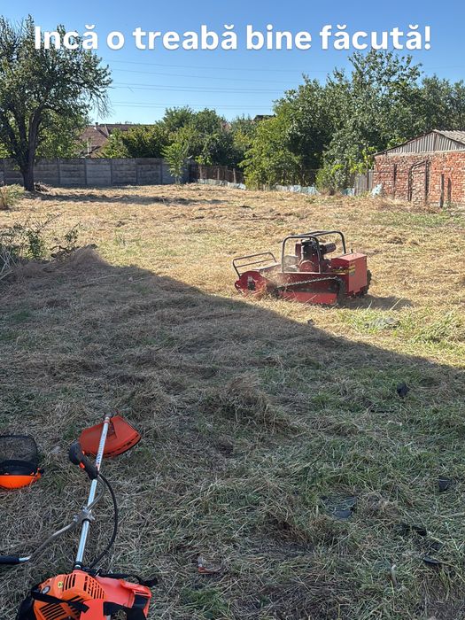 Tocare vegetație necontrolată și ambrozie pana la 3 cm diametru Timiș
