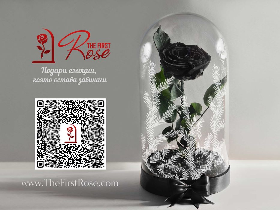 Естествена Черна Роза в Стъкленица / Оригинален Подарък за Жена