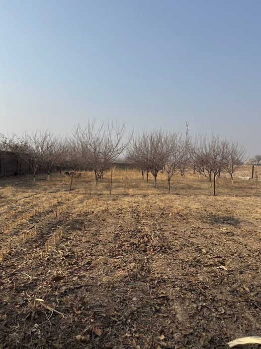 Yer sotiladi uy qurib foydalanishga