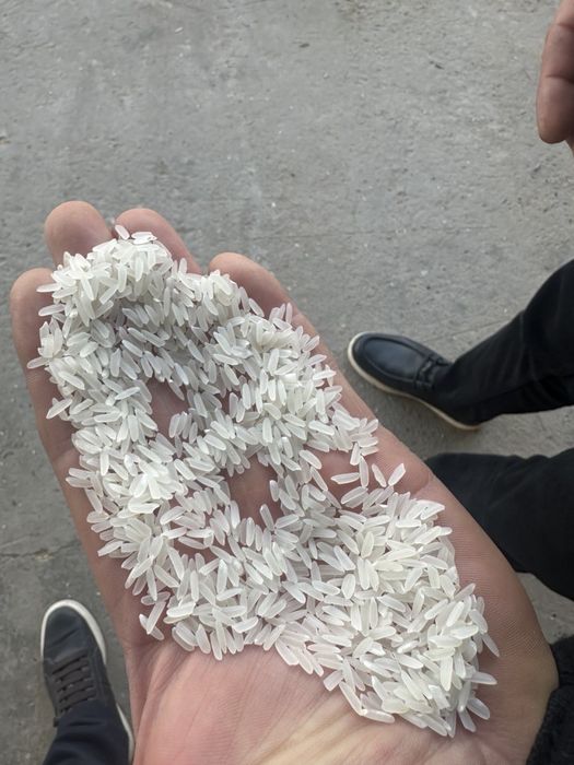 Хоразм лазер вишши сорт 1- кол