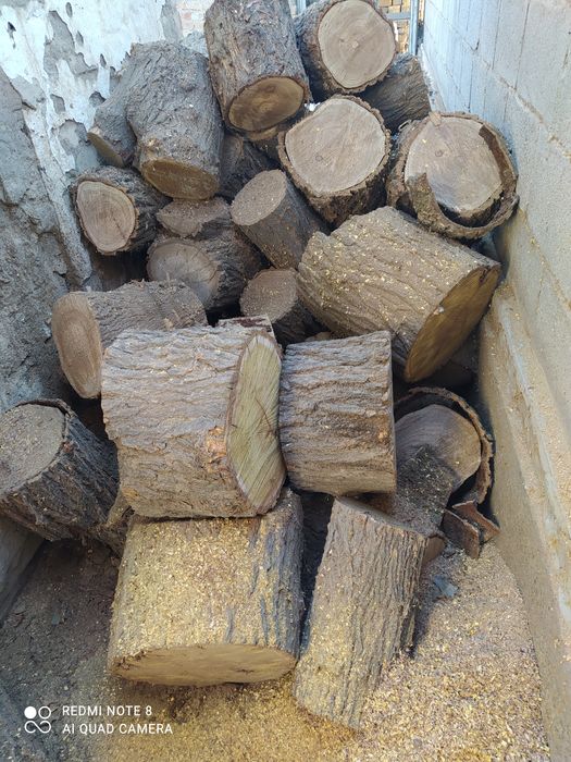 Продам сухие дрова карагач
