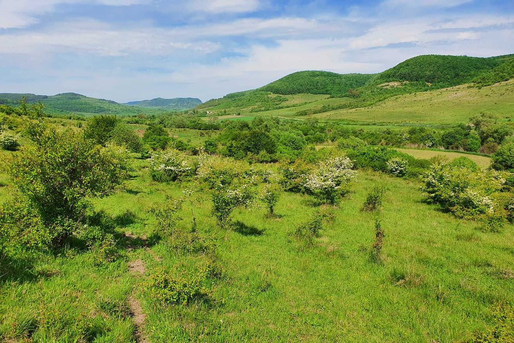 Teren superb în satul Ciumăfaia, comuna Borșa - Cluj