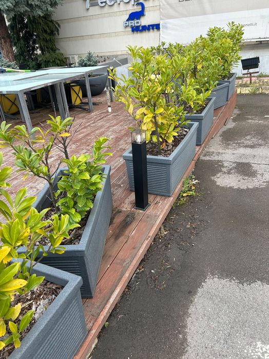 Декоративни лампи