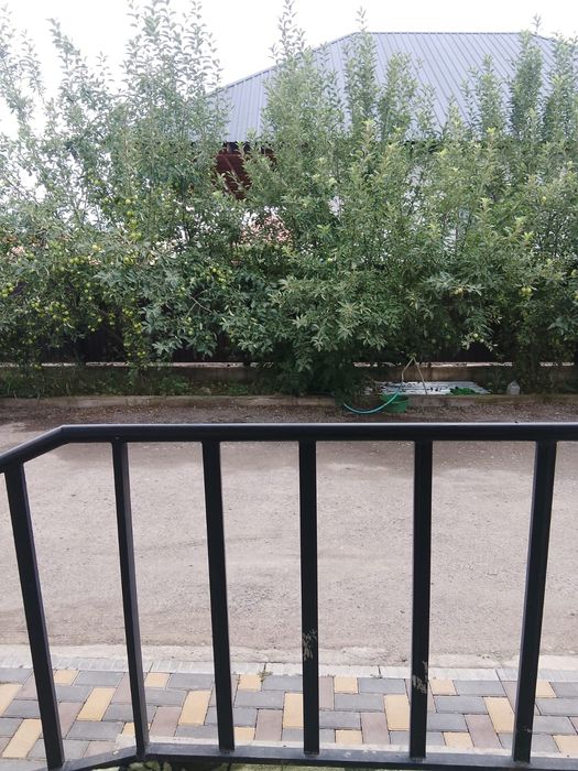 Продам дом Ашыбулак 30 миллионов
