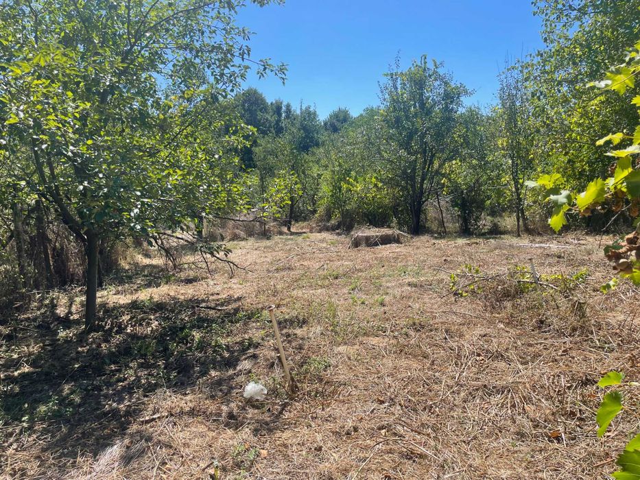 Продава се Парцел в Габрово, Беленци - 4031 кв.м за 9 €/кв.м - Снимка #2