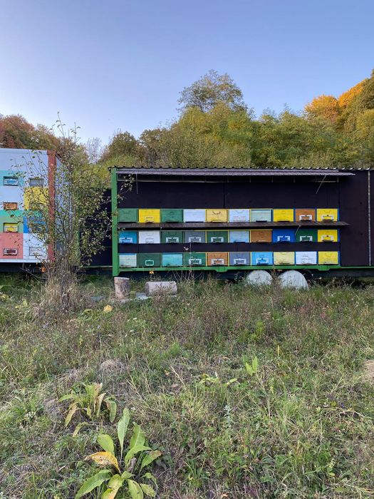 Vând remorcă apicolă, pavilion apicol 60 stupi omologat