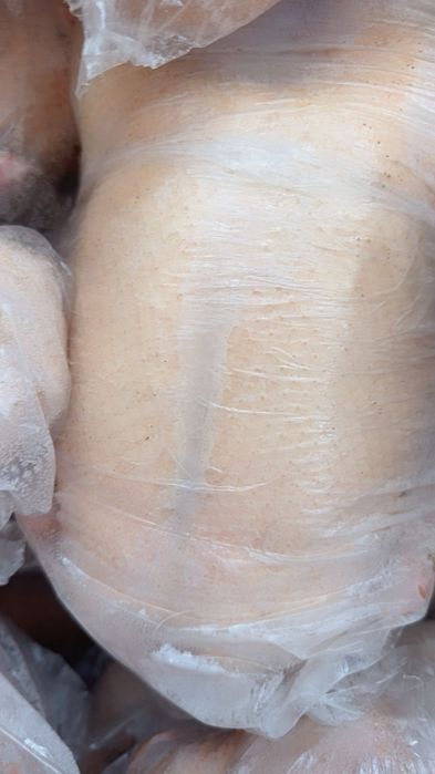 Мясо гуся домашние