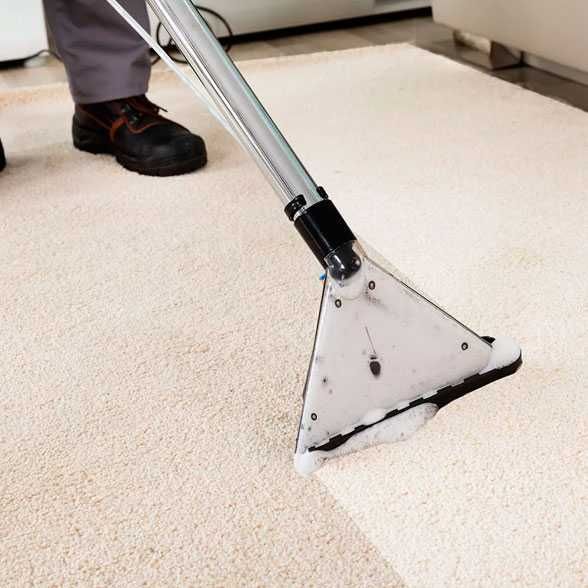 химчистка ковролан