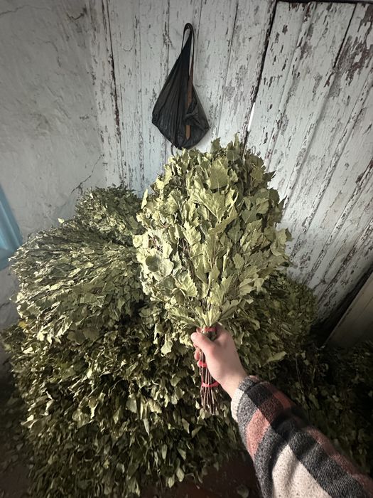 Веники берёзовые