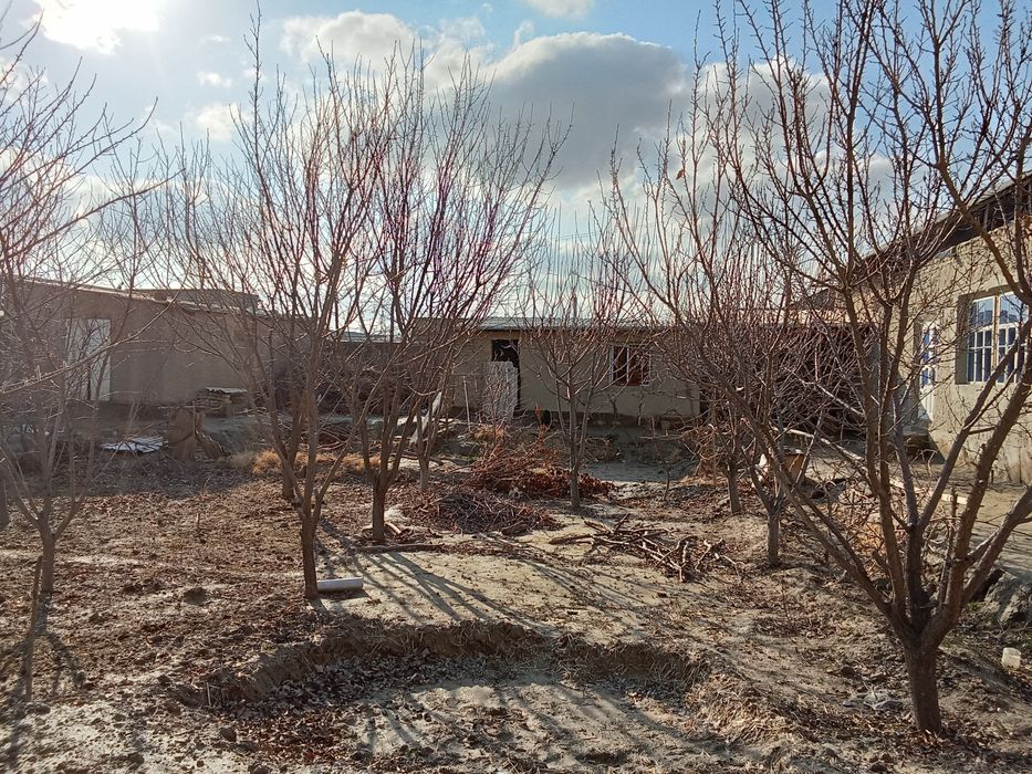 Hovli sotiladi 8 stuk