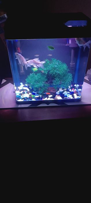 Аквариум сотилади