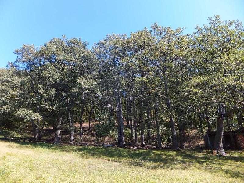 Продава се Земеделски имот в с. Писарово, Област Плевен -  кв.м за 0 €/дка - Снимка #6