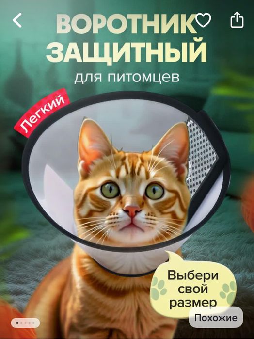 Воротник для питомцев