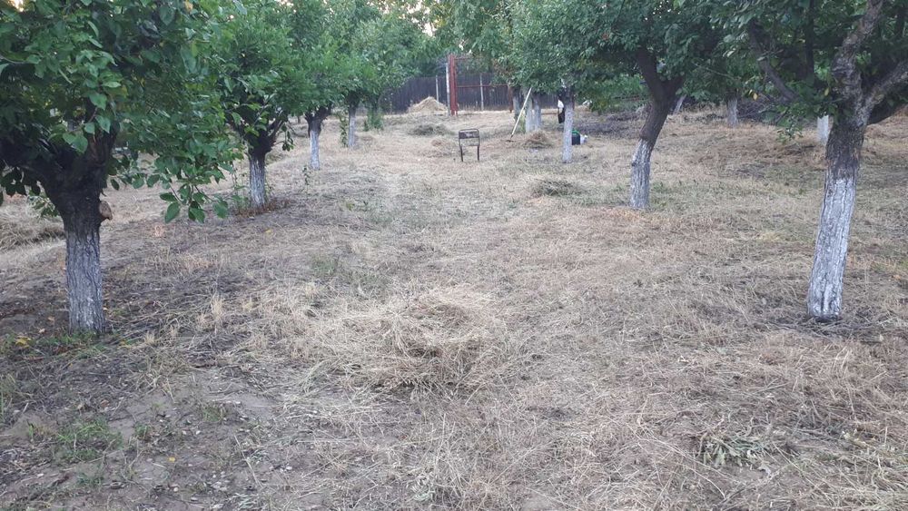 Teren de vânzare în zona Merei