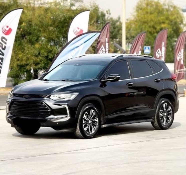 Treker2 2024  Premyer plus+ tozza