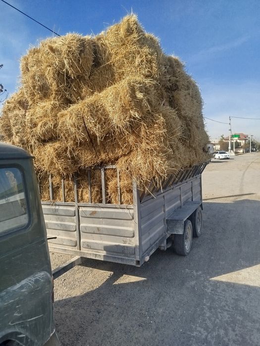 Уваз тачкаси билан