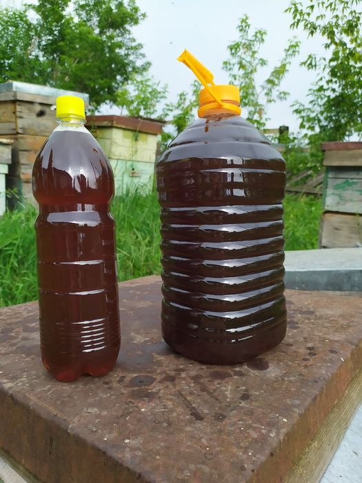 Мёд дягилевый. Полторашка -3 500. 5 литров - 10 000.