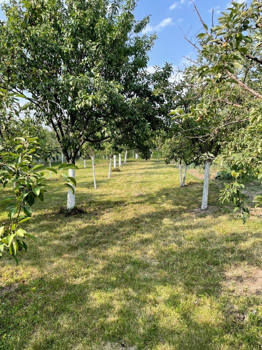 Vând casă în Cernăteaz  Propietar