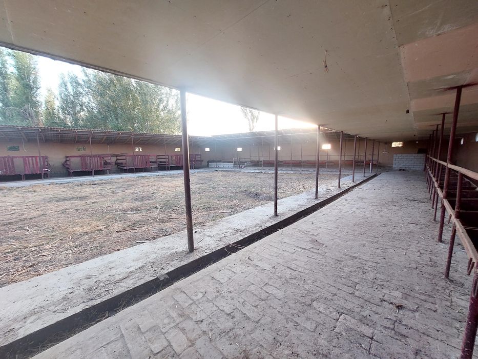 Современная ферма с готовым домом (12 соток) и ферма (18 соток) делимы