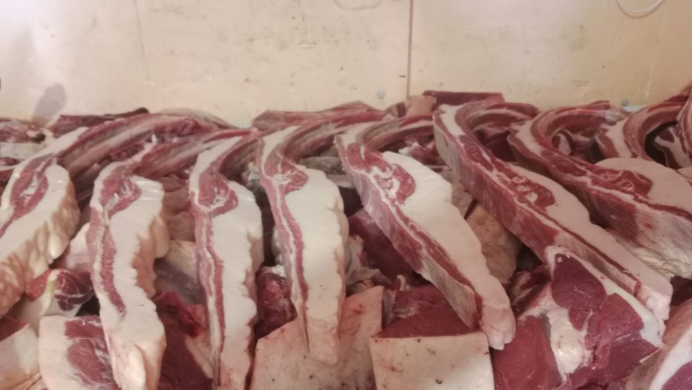 Жылқы еті сатылады.  Бие 5жасар байтал