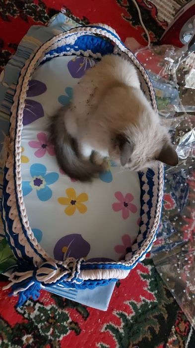 лежак для кошек и собак