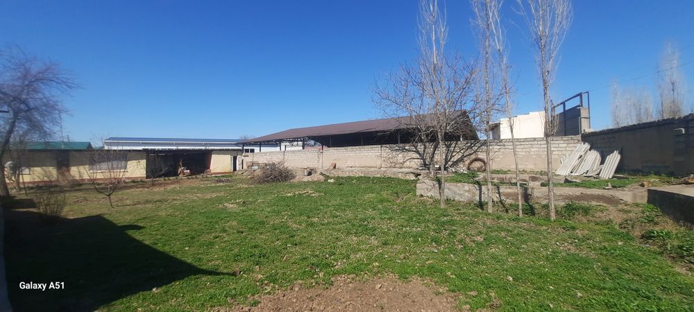 Yer sotiladi 5  sotix