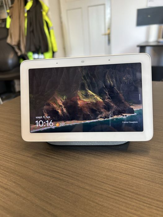 Google Nest Hub