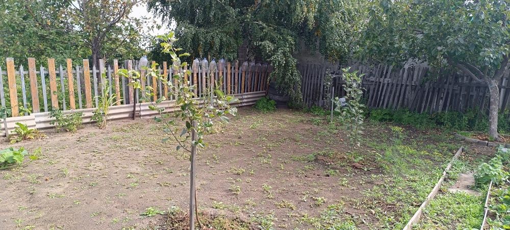 Продам дачный участок с домиком