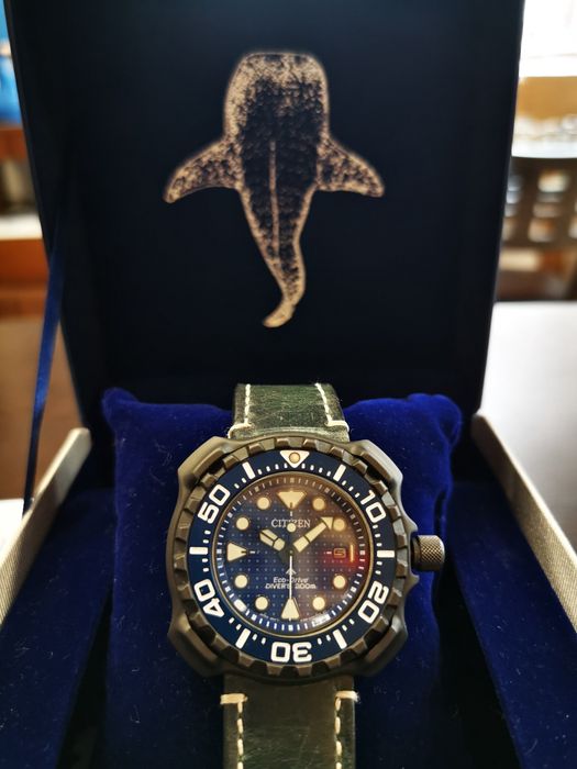 Citizen titanium promaster eco drive