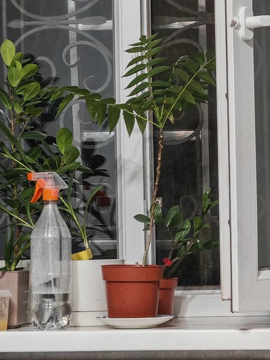 Айланд (Сумах) тал