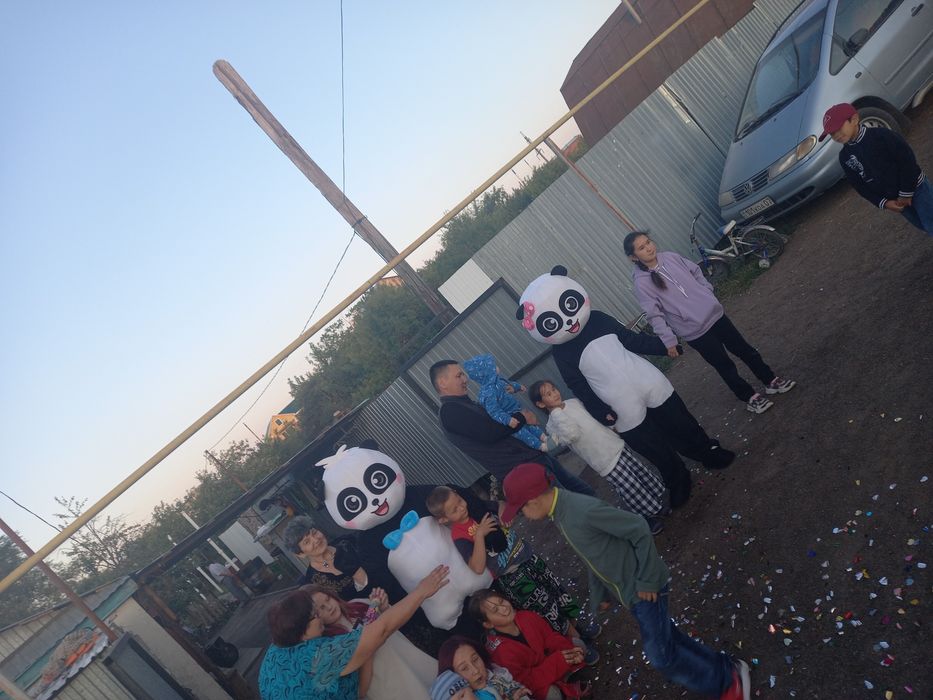 Ростове куклы, панда