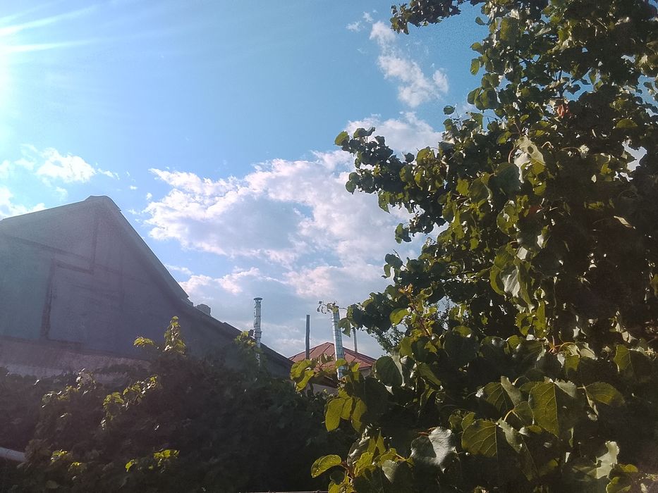 Продажа дом на два хозяина.