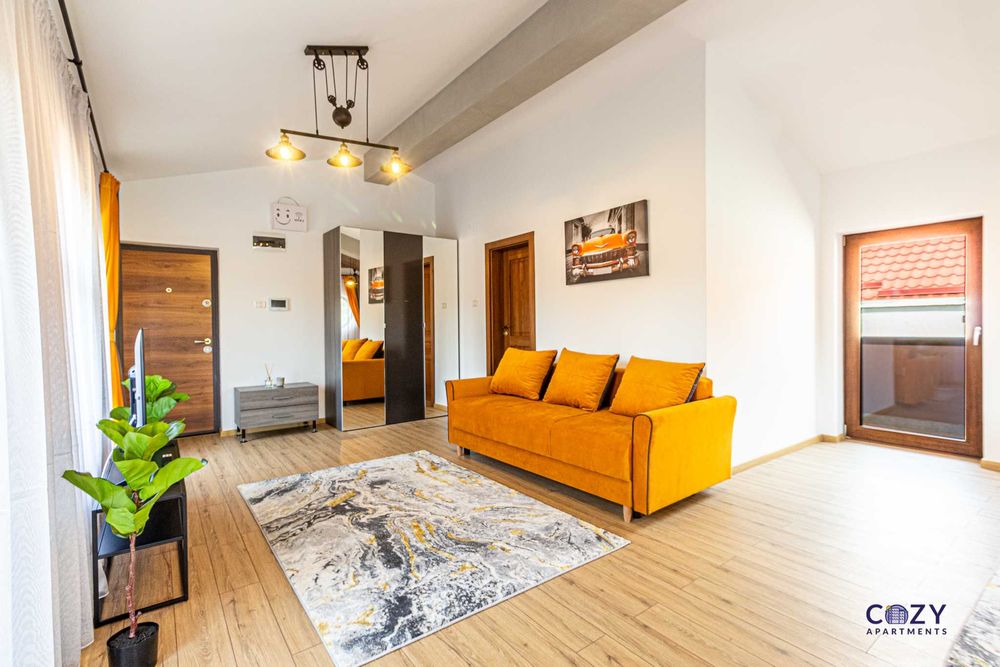 Cazare Regim H. Arad Apartamente de Lux - Servicii Profesionale