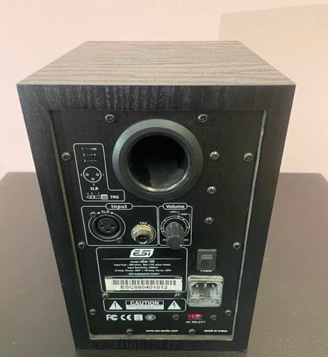 Studio monitori esi 5