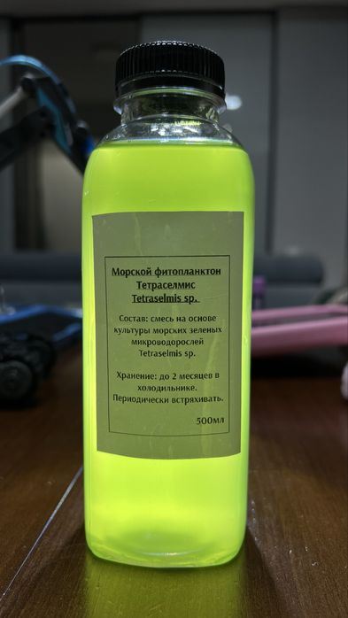 Тетраселмис - солоноводный фитопланктон