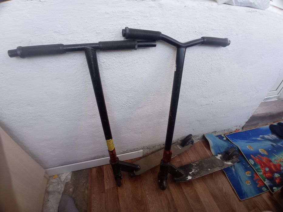 Продаю 2 сомаката