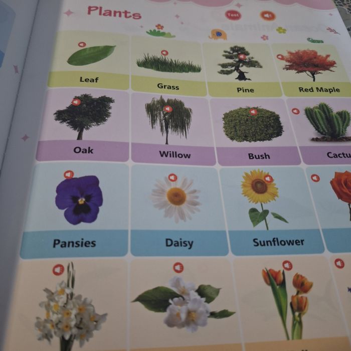 Книжка за първи стъпки в английският език