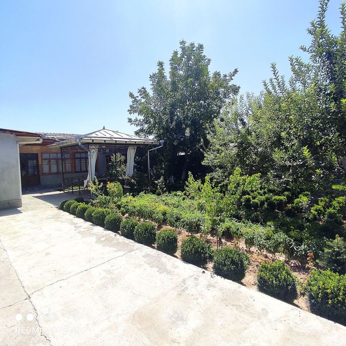 50 йилликда 8 сотохли 10 та хонали ҳовли, домга бартер бор