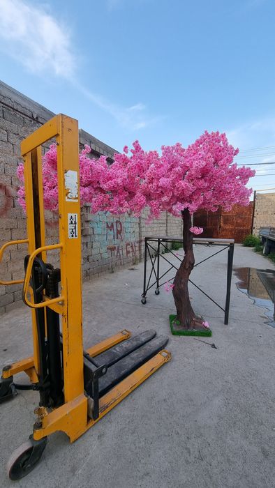 Yapon daraxti sakura yasab beramiz