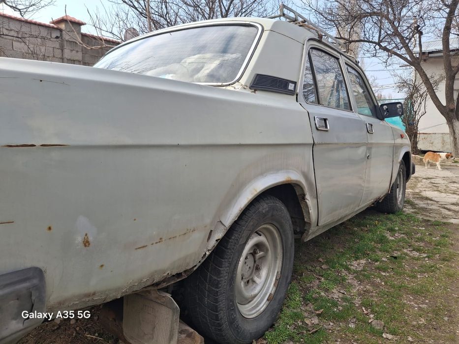 Волга  газ 31029